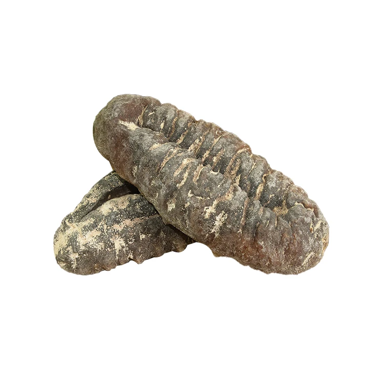 Wholesale Tubular Pig Po Dried Sea Cucumber