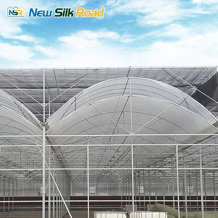 Large Economical Plastic Agricultural Greenhouse Double Single Layer Hot Dip Galvanized Steel Frame Plant Use PE ETFE Material
