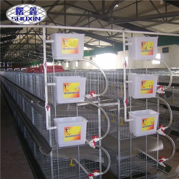 Chicken Farming Automatic Broiler Battery Chicken Cages Poultry Equipments Easy to Install for Home Use