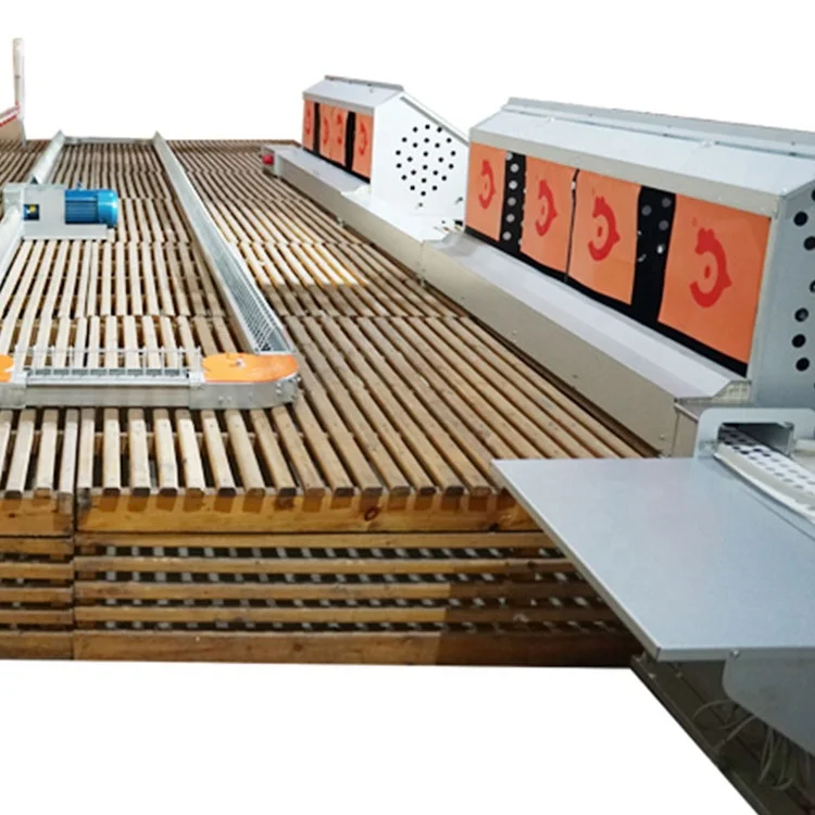 BOLONG Free range chicken egg collection equipment chicken coop chicken nesting box