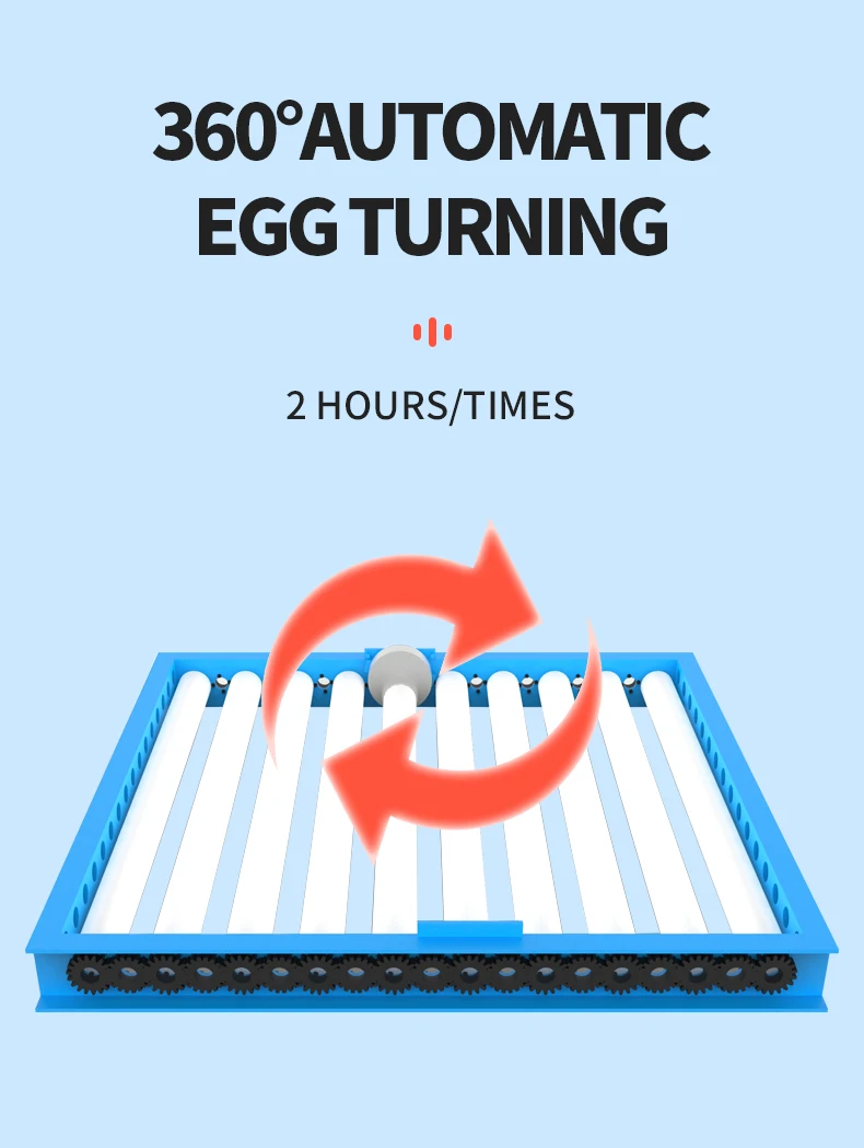 12V Battery power supply 64 chicken egg incubator cheap price for sale