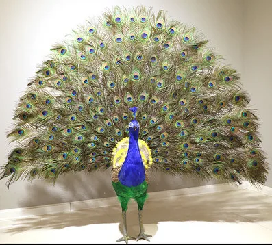 Custom made home decoration peacock decorative statue