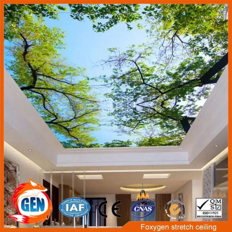 P.o.p Design False Ceiling PVC Stretch Ceiling Materials Cheap Factory Price