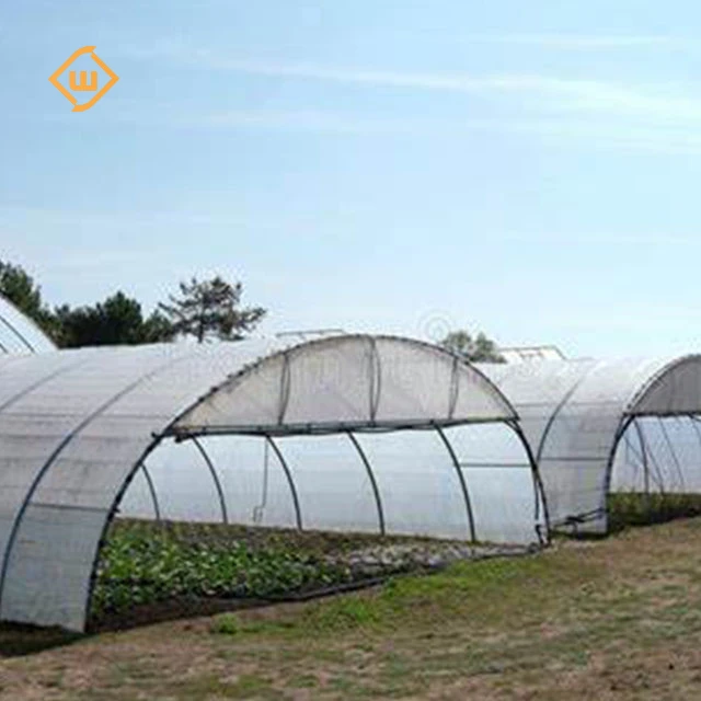 modern steel pipe tunnel tomato hook single span greenhouse structure polycarbonate commercial large green house