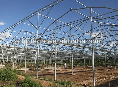 Jiapei Multi-span low cost agricultural tomato hydroponic Growing System vertical planting Cultivation flim blueberry greenhouse