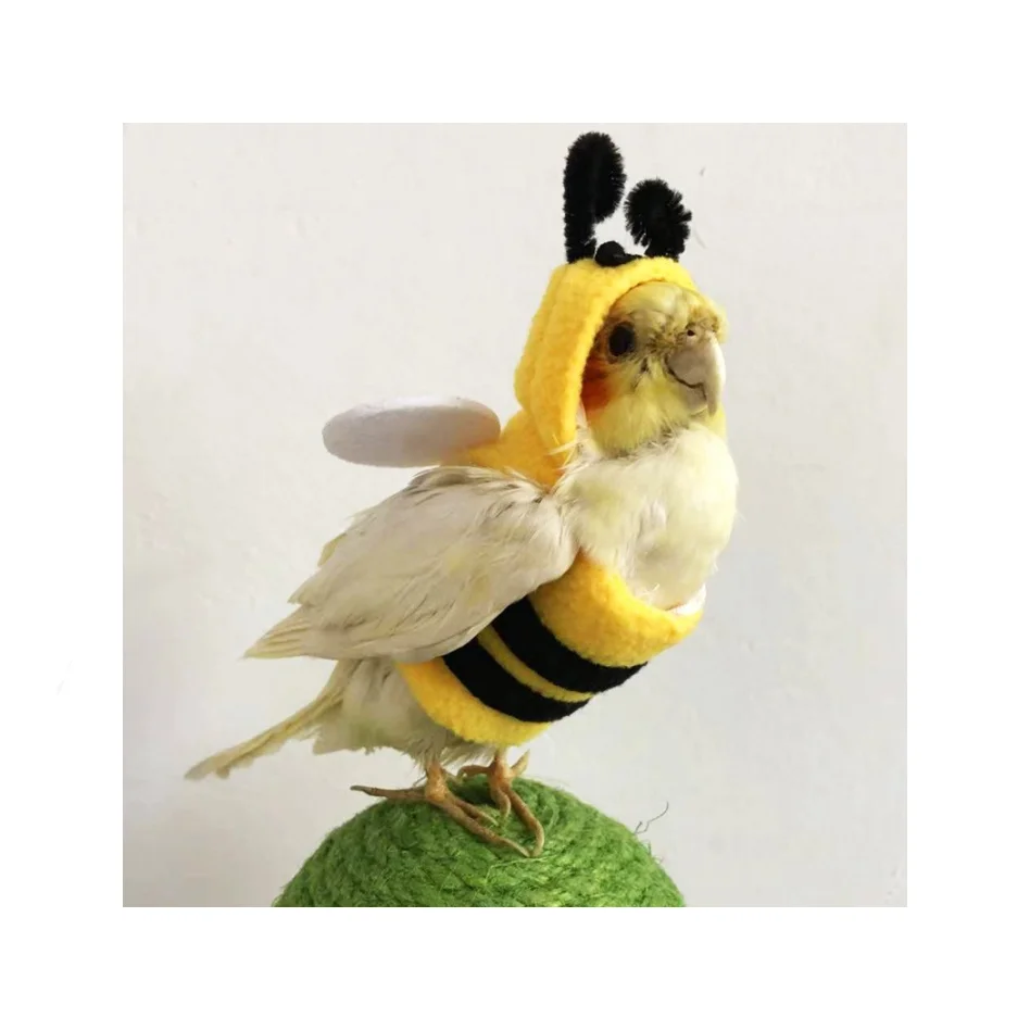 LM0152K Pet clothes New Pet Bird Clothing Winter warm parrot clothing Cute and funny parrot costume