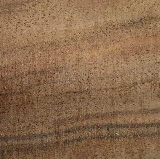 Curupay/veneer/timber/squarelogs/solidwood