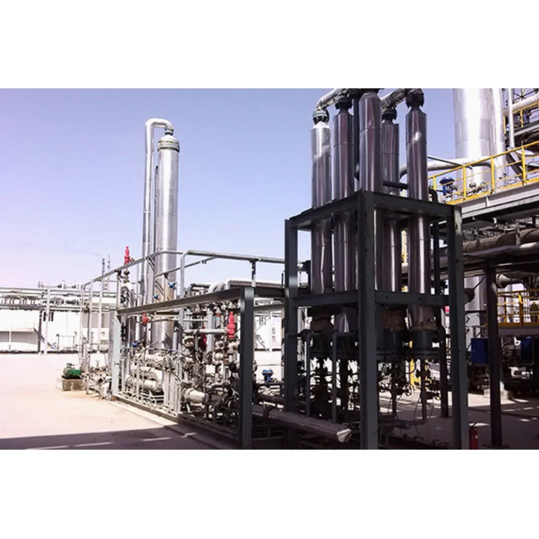 2024 Biogas Purification Package 0.3-3.0Mpa High Efficiency PSA Kit Biogas Plant for Kitchen Waste