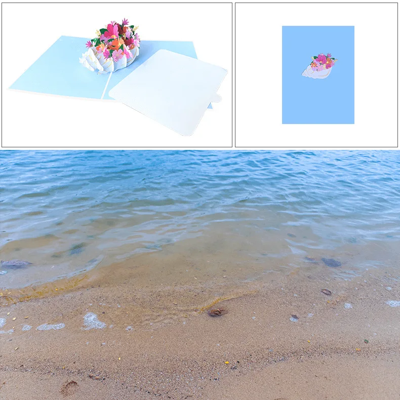 Conch greeting card.jpg