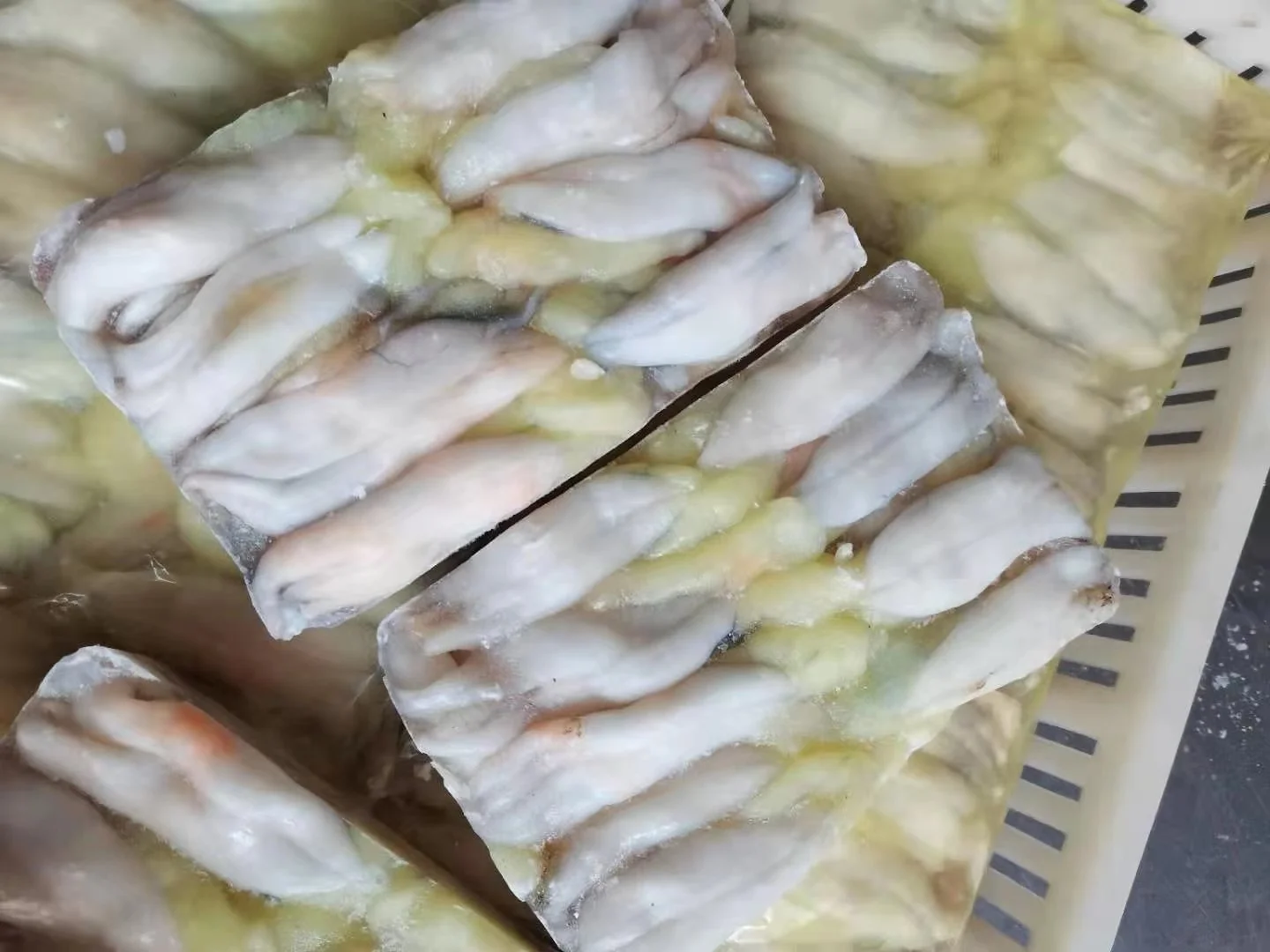 Новое приземляющееся яйцо кальмара для продажи замороженные икры каламари