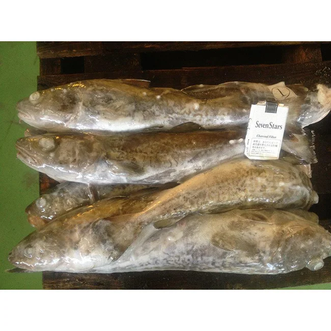 Высококачественная свежая замороженная рыба, скумбрия, морская еда, сделано в Японии