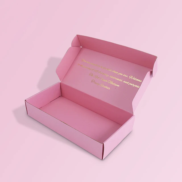 New Colored Beautiful Airplane Shipping Boxes Custom Logo Corrugated Black Shipping Mailing Box