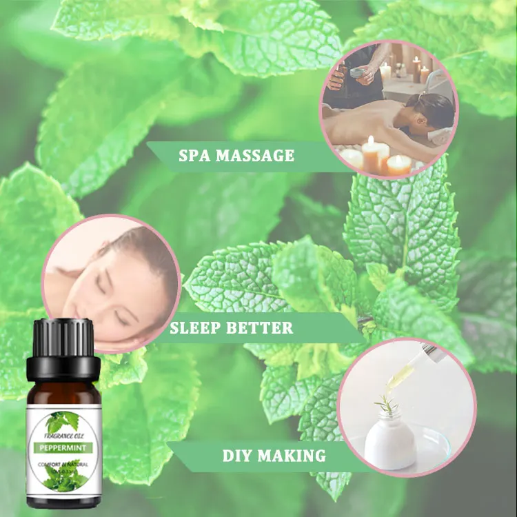 Wholesale 10ml Oem Private Label Aroma Pure Essential Oil Set Suitable for Humidifiers, Massage, Aromatherapy, Skin