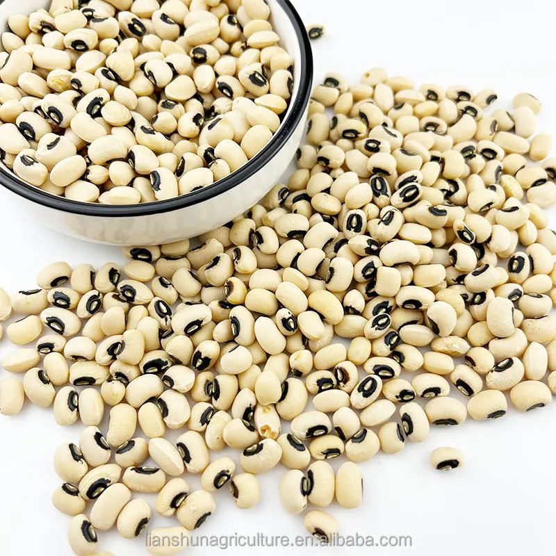 Factory Direct Sale  Cow Pea BLACK EYED BEANS