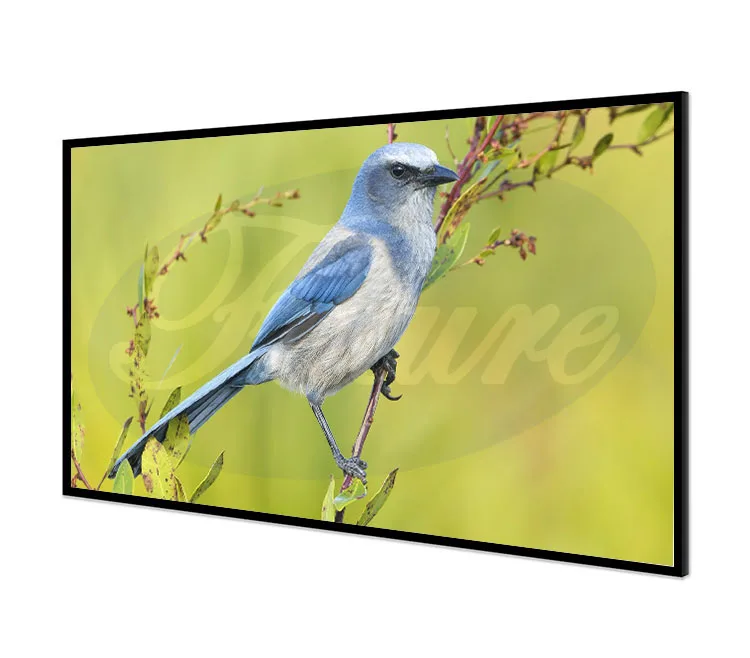 Экран для проектора с фиксированной рамкой 120 дюйма 16:9 8K / 4K Ultra HD 3D готовый экран для кинопроектора серия с фиксированной рамкой