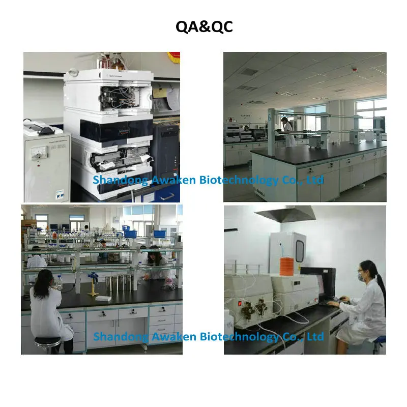 Agriculture Grade Polyglutamic Acid Fertilizer Large Trace Elements Water Soluble Nutrients Fertilizer