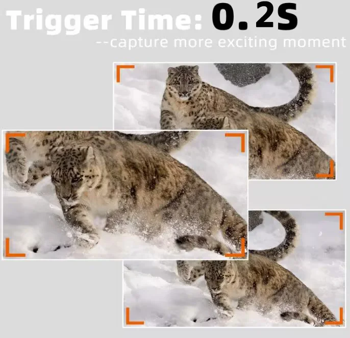 BSTCAM Wildlife Monitoring  4K Wifi Bluetooth Hunting Camera  App Live View Control Remote wifi trail motion camera wireless