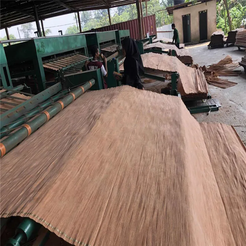 Rotary Cut Technics and Natural Gurjan Wood Veneer