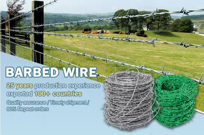 barbed wire 650 (55)