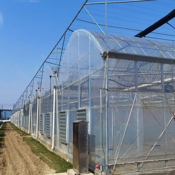 Customized Greenhouse China Factory Outlet Agricultural Greenhouses Multi-span Plastic Film Tunnel Hydroponic Green House
