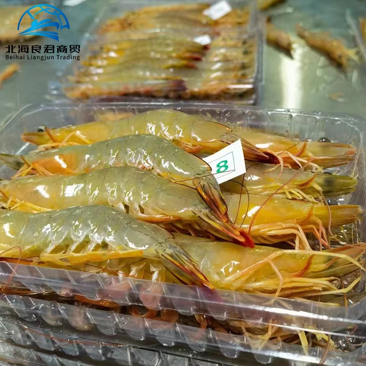 Прямая поставка с завода высокое качество оптовая продажа импортеры белых креветок/креветок пресной