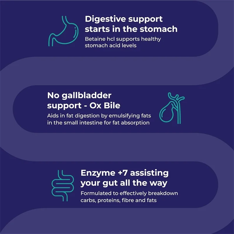 OEM Wholesale Digestive Enzyme Supplements Nutrient Absorption Enzyme+7 Promote Digestion Tablets Capsules