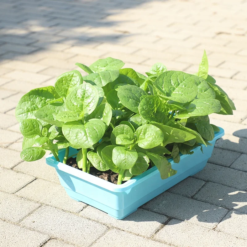 plant tower pots bulb plant pot subirrigated plant pot