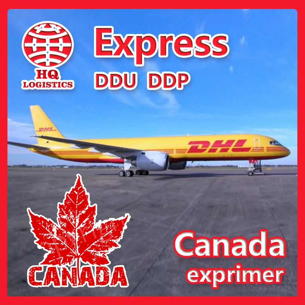fast delivery Forwarding Agent Shipping Service To Canada from china ali ups fedex dhl express to canada