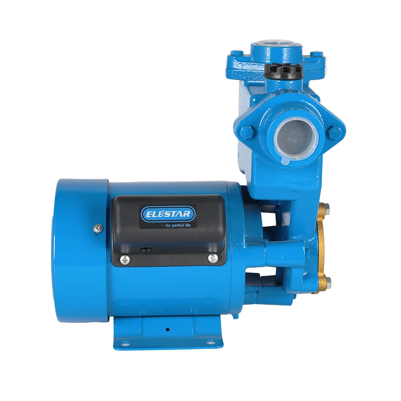 PS Domestic Auto Station mini dc single phase three Self-priming long distance water pumping motor automatic pump