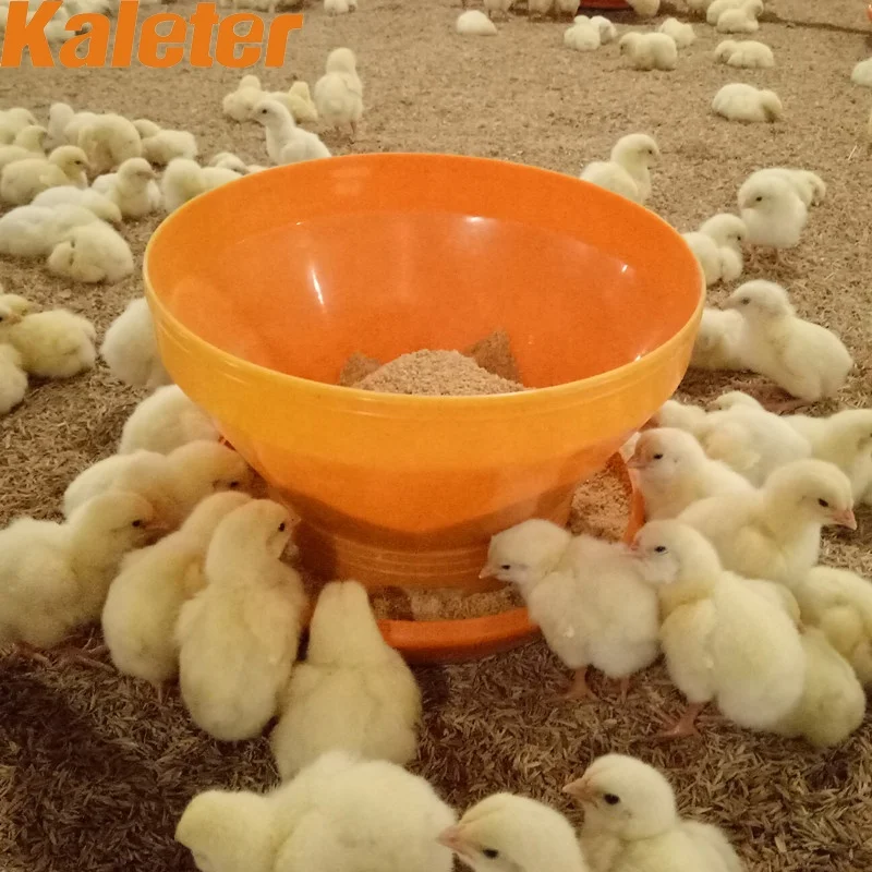 Chicken Feeder Bucket Baby Feed Tray Plastic Food Feeder Bulk Chick Poultry Farming Day old Feeding Bowl