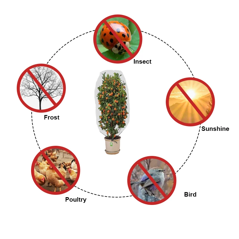 Banana Fruit Saver Anti Insect Proof Net pp Mesh Bag Mesh for Green Tree Defender Thicken Bird Screen Garden Plastic Mesh  Bag