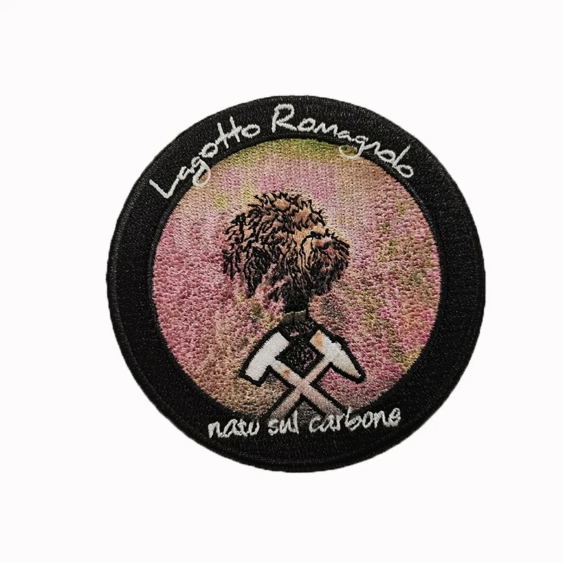 Fashion Caps Clothes Embroidered Badges Custom Embroidery Printing Patches Printing Stitches Twill Works Iron on Patches