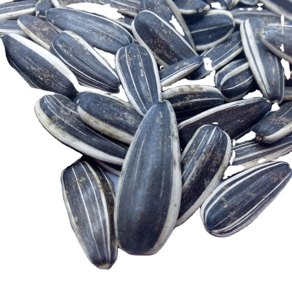 Oil sunflower seeds ukraine prices