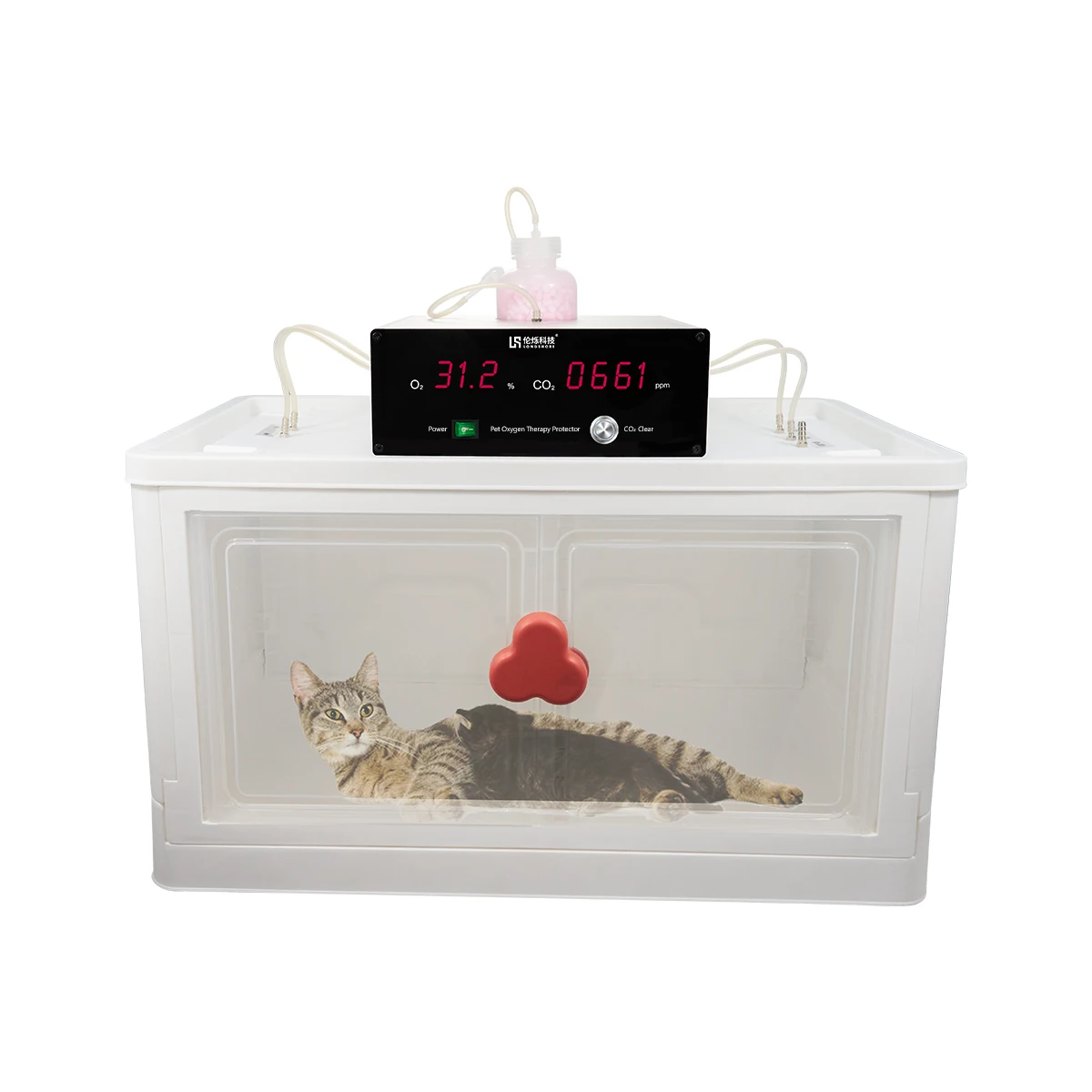 Best price pet Incubator for Newborn Puppies and Kittens Nebulized Oxygen Intensive Care Unit for Dogs and Cats