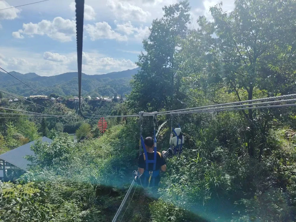 Zip Line Kit with Complete Accessories Ziplines Amusement Park Rides Metal Durable Ziplines