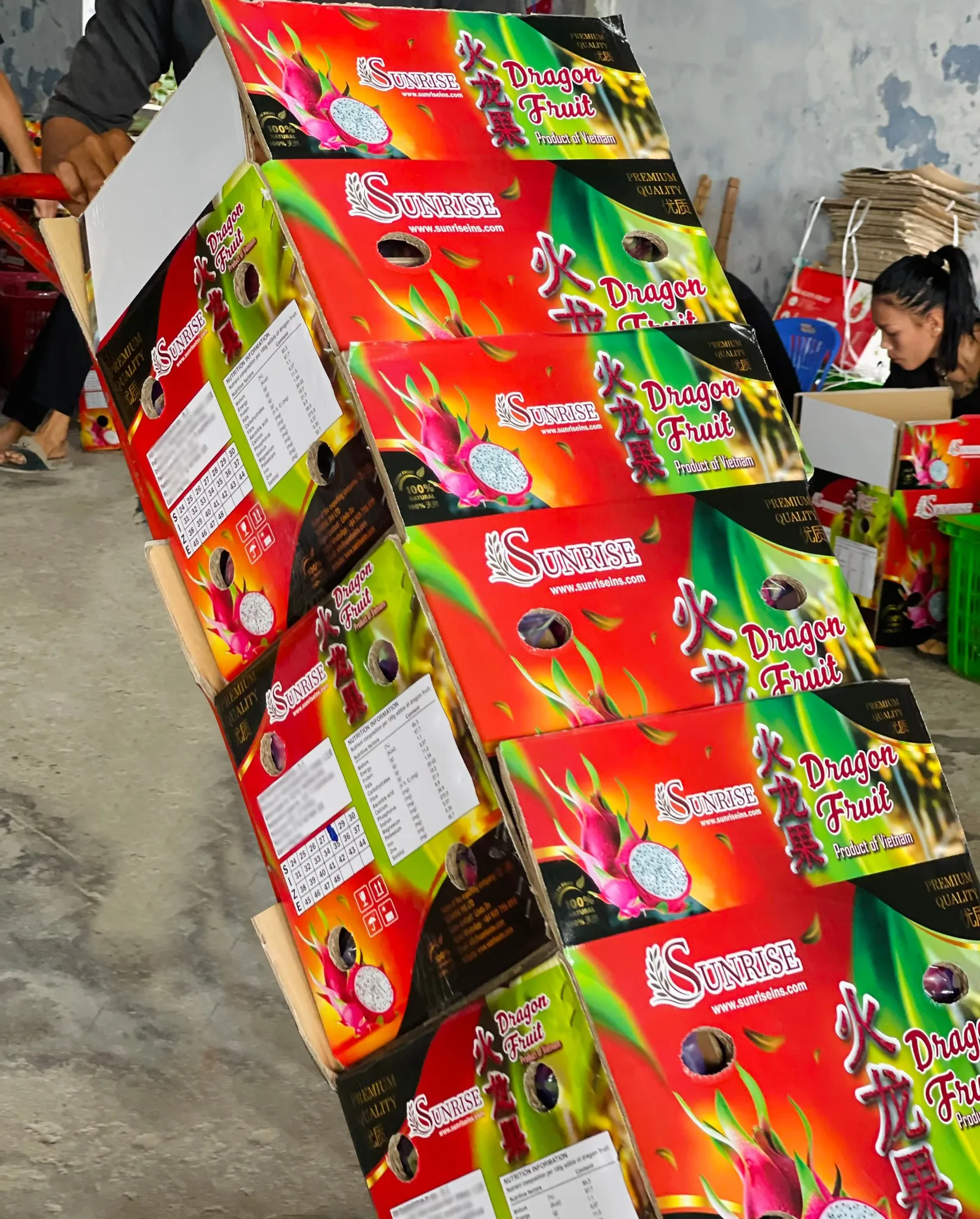 Vietnam Dragon Fruit Export To India Hong Kong Tropical Fresh Fruit 100% Maturity With Common  WHATSAP 0084 989 322 607