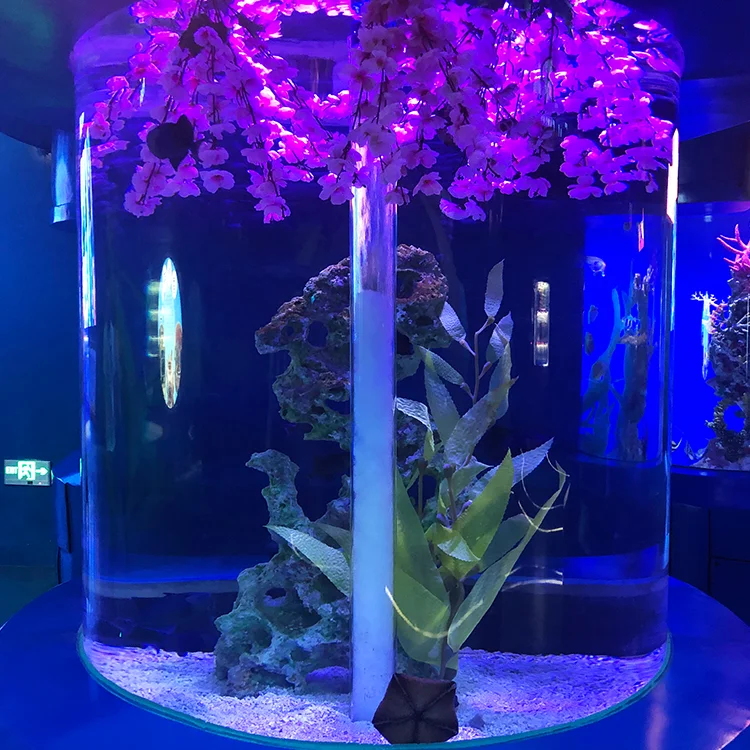 outdoor acrylic aquarium cylinder set wall  fish bowl acryl cylinder  acrylic aquarium cover