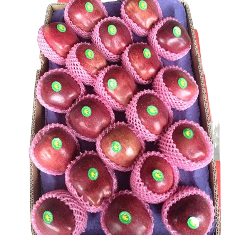 Импортеры свежих фруктов, свежие яблоки, свежие яблоки, яблоки fuji, область yantai