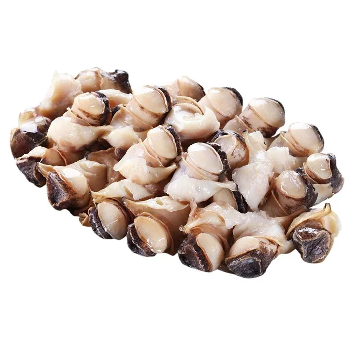 Замороженный ракушек мясо Topshell с фабрики в Мексике
