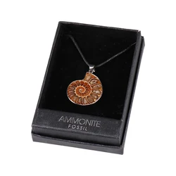 Wholesale Natural Conch Ammonite Silver Wrapped Pendant Natural Stone Pendant For Jewelry Making Hot Sale Christmas Gift