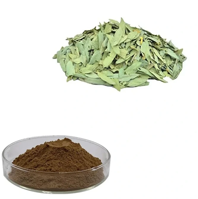 Nutrition Supplement Good Price High Quality Senna Leaf Extract Powder