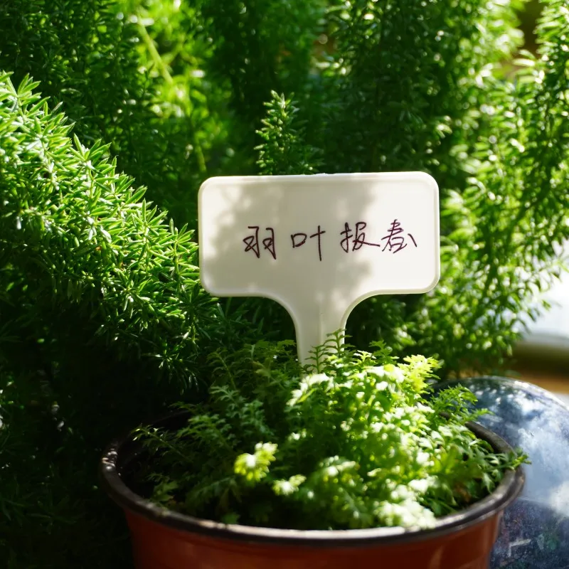 Sublimation Plastic Custom Tag Nursery Name Plant Garden Supplies Plant Sign Tag Circular For Gardening