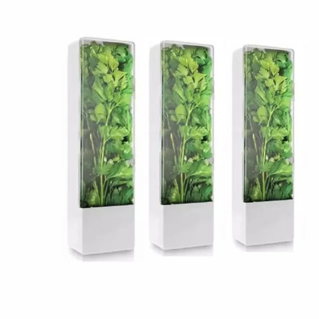 Good Price Herb Keeper And Herb Saver  Glass Storage Container Keeps Greens Fresh For 2-3 Weeks