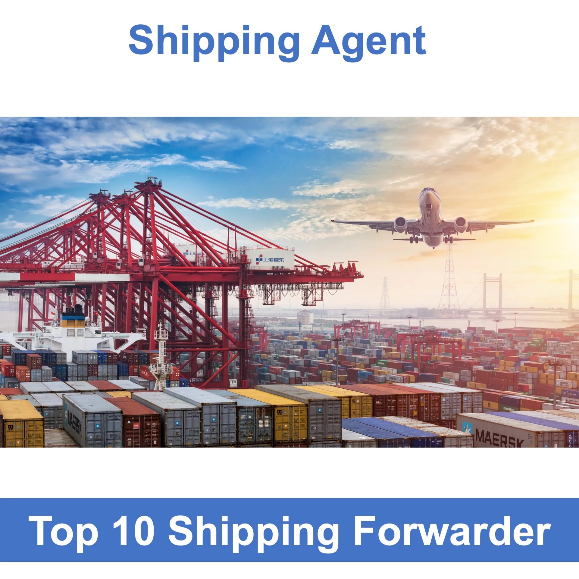 Highly rated International freight forwarding express from China provides door-to-door warehousing services by air/sea