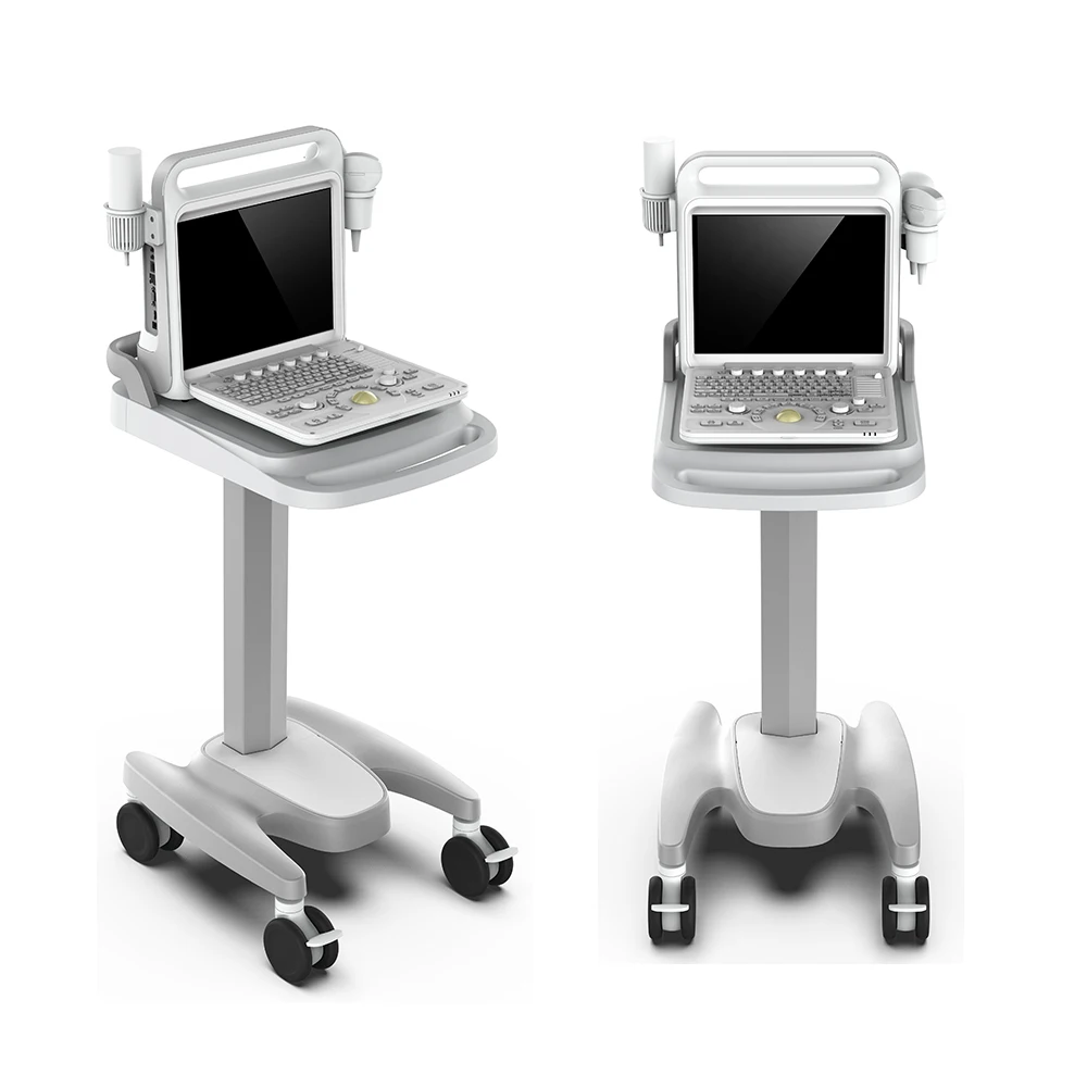 Medical ecografo portatil doppler cardiac 3d 4d ultrasound machine for gynecology