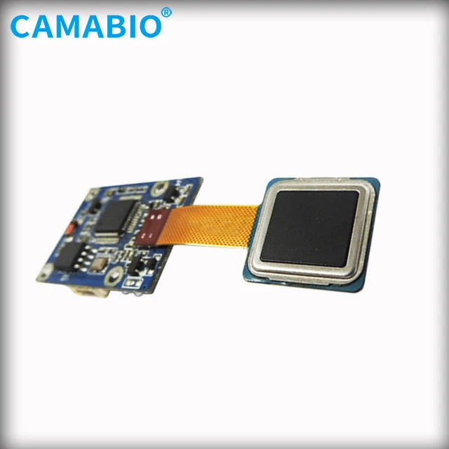  CAMA-AFM31 полупроводниковый емкостный сенсорный модуль сканера отпечатков пальцев для безопасности