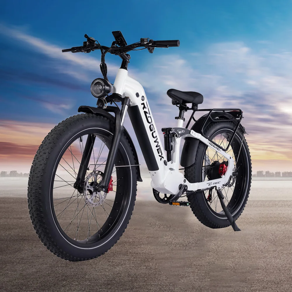 EU Warehouse Fast Shipping Original Ebike Fat Tire Fatbike 1000W Electric Bicycle Electric Mountain Bike for Adults