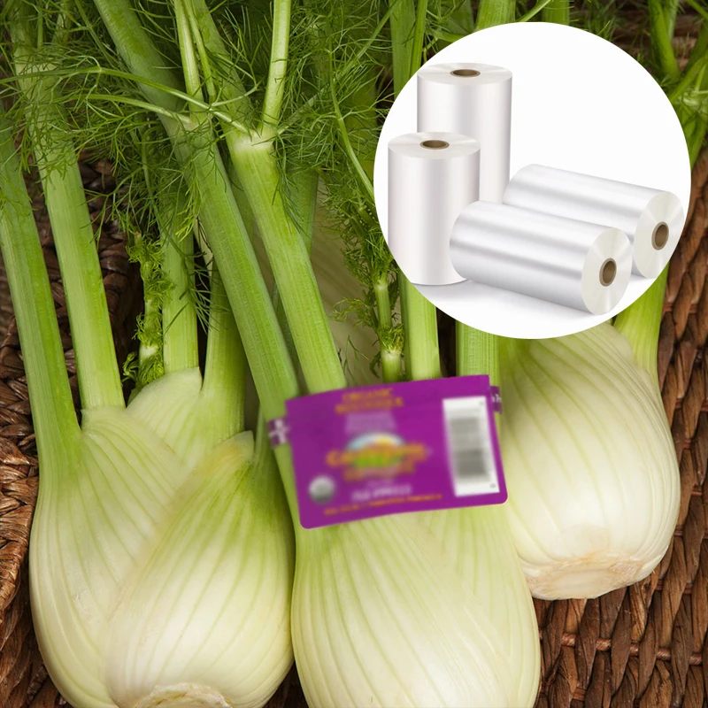 large format PP Synthetic Paper PP Label Paper Duplex Matte Synthetic Paper 200um