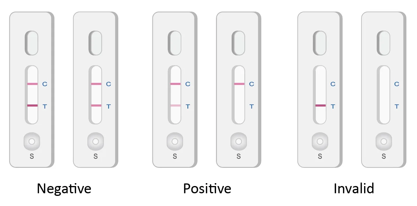 AOZ AMOZ SEM AHD Test