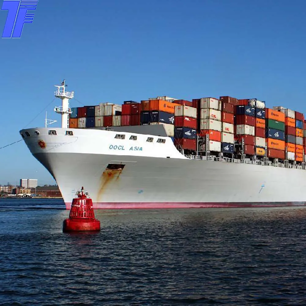Most Valuable Sea Shipping Agent fast sea shipping from China to Chile Port to Port best shipping service